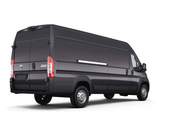 Ram false - Back view Ram false - Back view